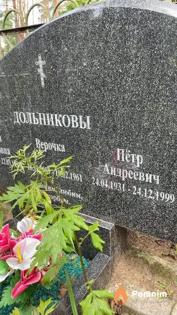 Дольников Петр Андреевич