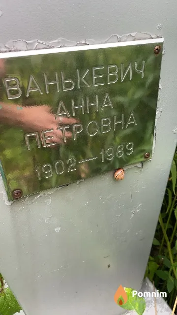 Ванькевич Aнна Петровна