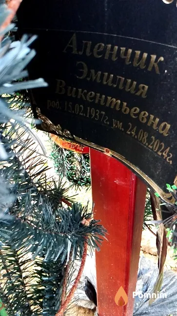 Аленчик Эмилия Викентьевна