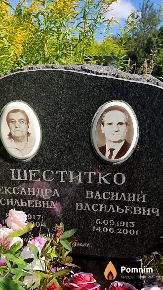 Шеститко Василий Васильевич