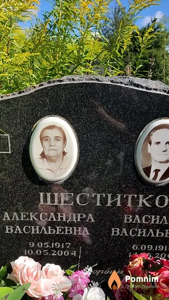 Шеститко Александра Васильевна