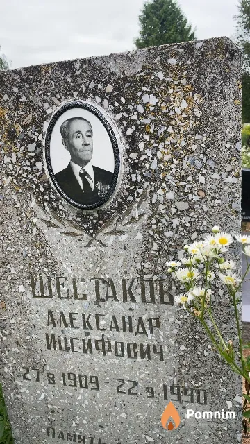Шестаков Александр Ингифович