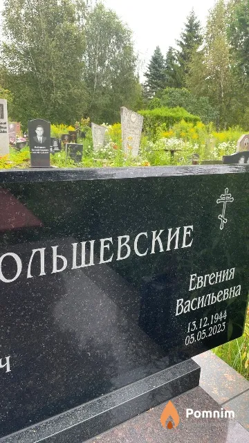 Ольшевская Евгения Васильевна
