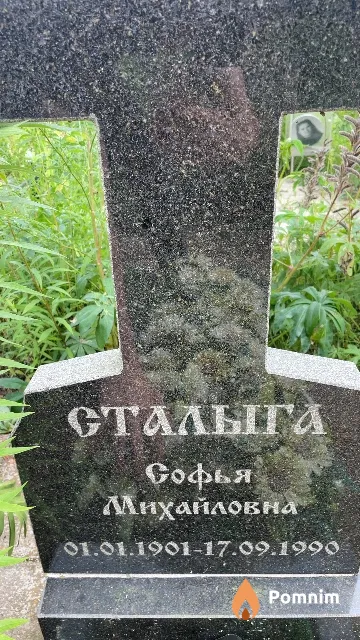 Стальга Софья Михайловна