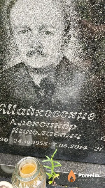 Шайковский Александр Николаевич