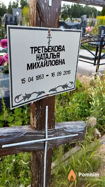 Третьекова Наталья Михайловна