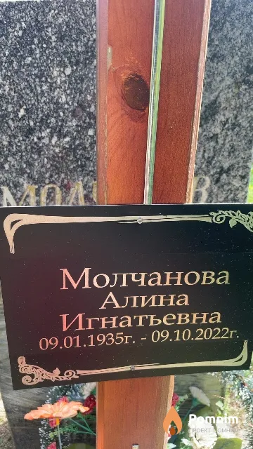 Молчанова Алина Игнатьевна