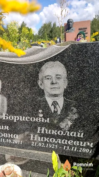 Борисов Николай Николаевич