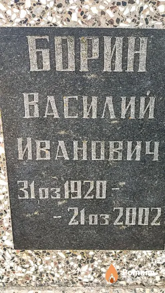Борин Василий Иванович