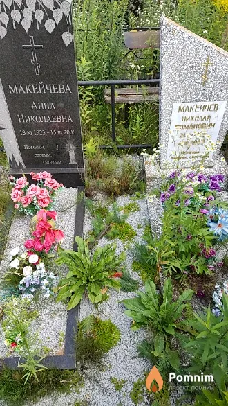 Макейчев Николай Романович