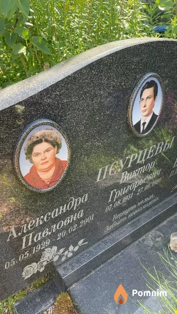 Псурцева Александра Павловна