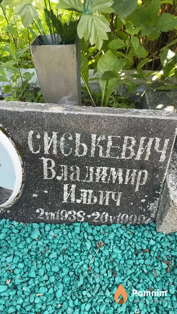 Сиськевич Владимир Ильич