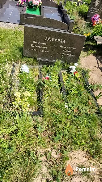 Доморад Ангелина Васильевна