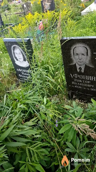 Афонин Виктор Иванович