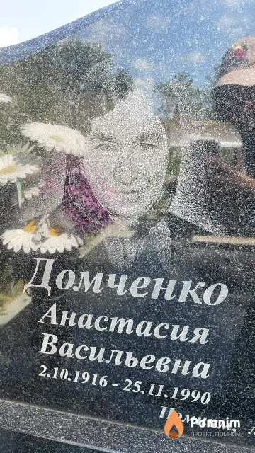 Домченко Анастасия Васильевна