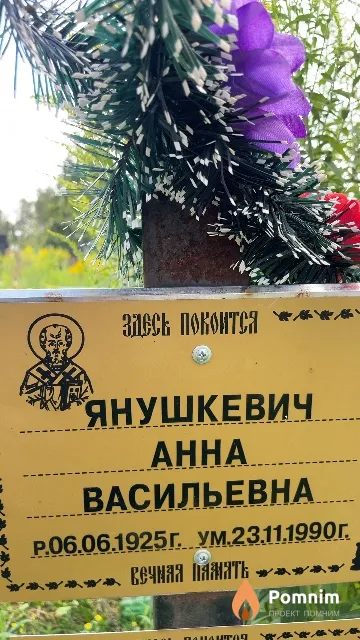 Янушкевич Анна Васильевна