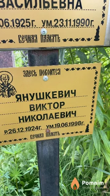 Янушкевич Виктор Николаевич