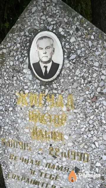 Жигула Виктор Ильич