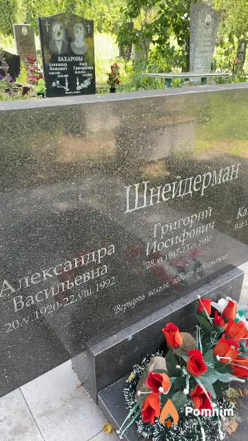 Шнейдерман Александра Васильевна