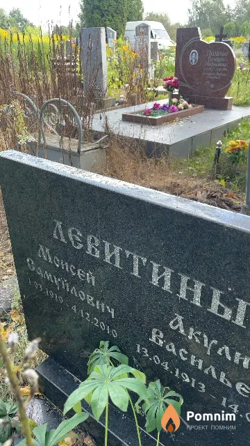 Левитин Moисей Самуйлович