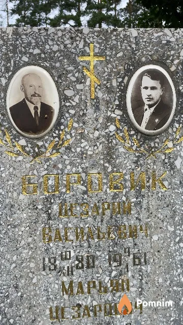 Боровик Цезарий Васильевич