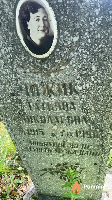 Чижик Татьяна Николаевна
