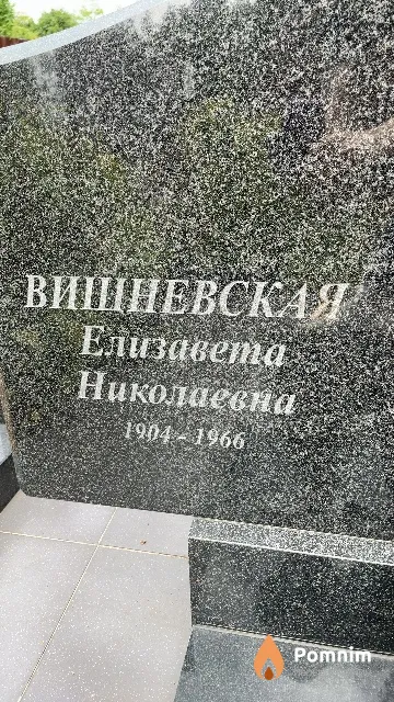 Вишневская Елизавета Николаевна