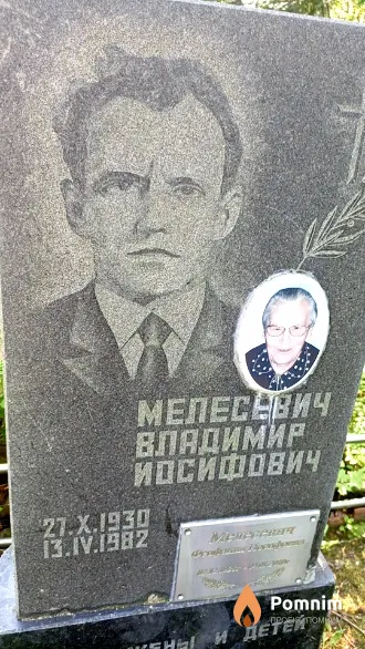 Мелесевич Владимир Иосифович