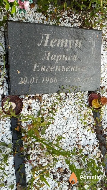 Летун Лариса Евгеньевич
