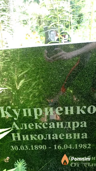 Куприенко Александра Николаевна