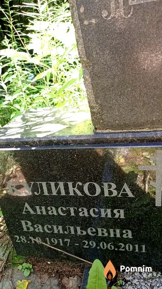 Куликова Анастасия Васильевна