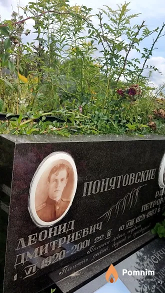 Понятовский Леонид Дмитриевич