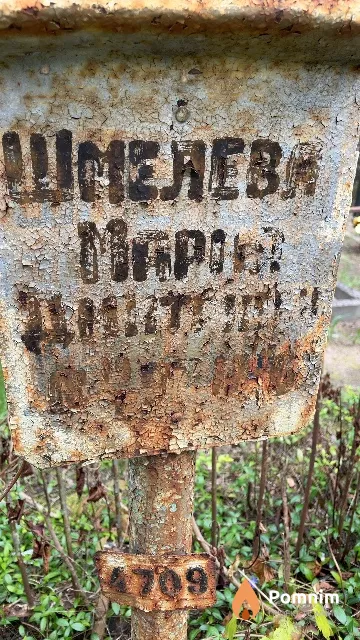 Шмелева Мария Дмитриевна
