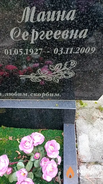 Шакуро Маина Сергеевна