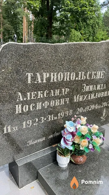 Тарнопольский Александр Иосифович