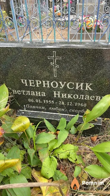 Черноусик Светлана Николаевна