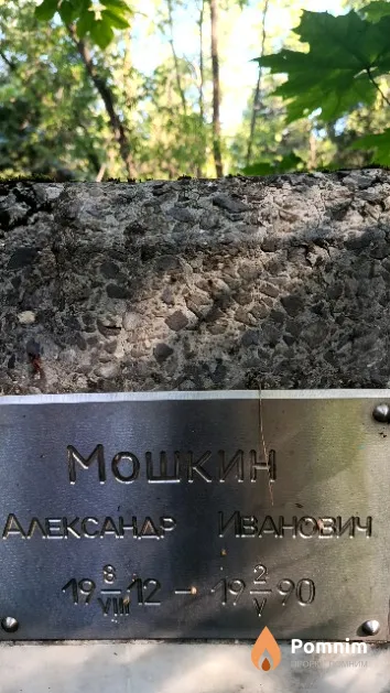 Мошкин Александр Иванович