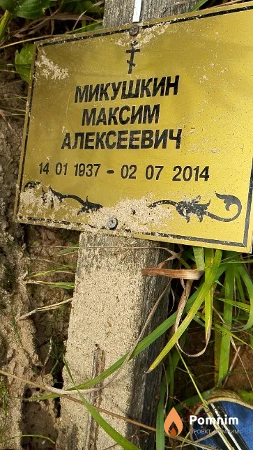 Микушкин Максим Алексеевич