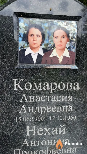 Комарова Анастасия Андреевна