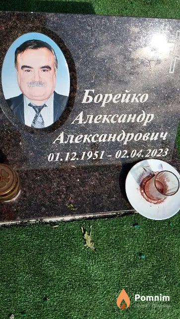 Борейко Александр Александрович