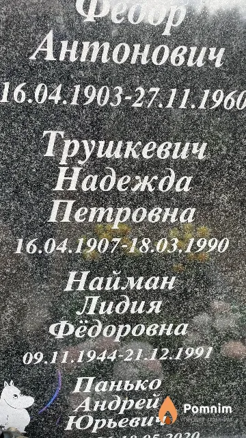 Трушкевич Надежда Петровна