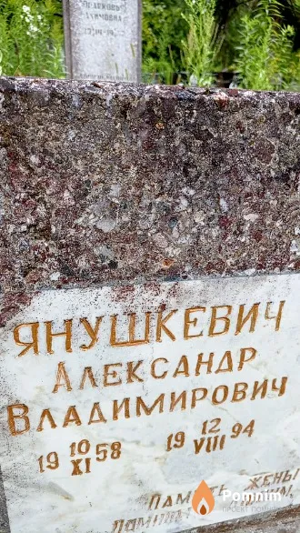 Янушкевич Александр Владимирович
