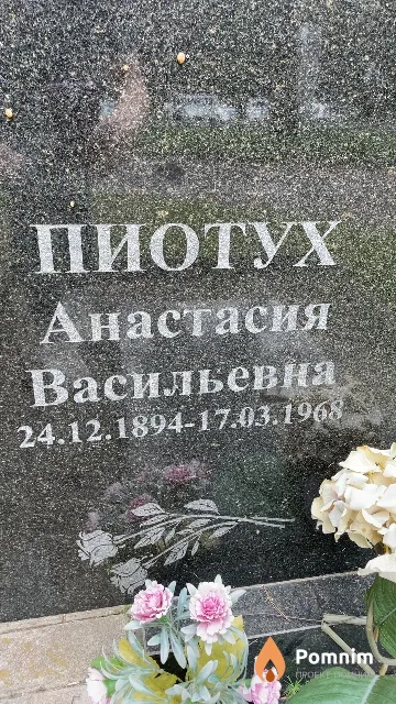 Пиотух Анастасия Васильевна