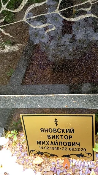 Яновский Виктор Михайлович