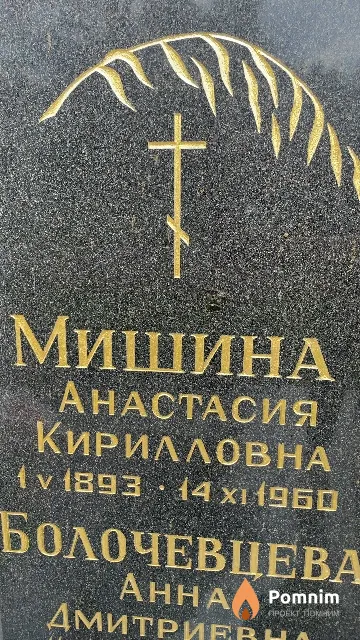 Мишина Анастасия Кирилловна