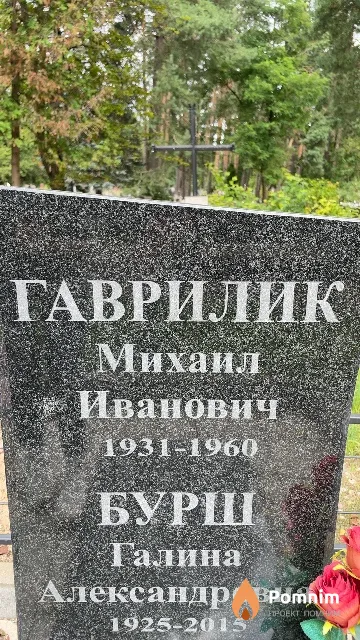 Гаврилик Михаил Иванович