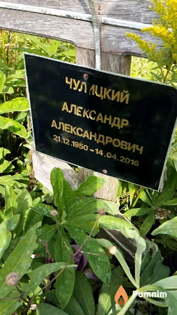 Чулицкий Александр Александрович