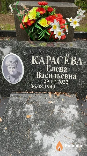 Карасёва Елена Васильевна