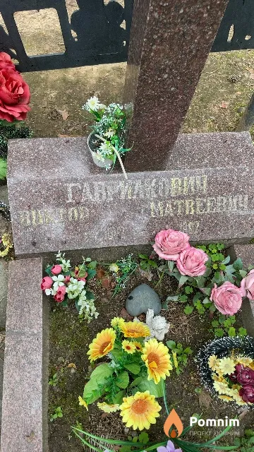 Гаврилович Виктор Матвеевич