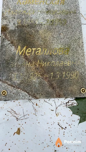 Металлова Татьяна Николаевна